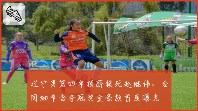 辽宁男篮四年顶薪锁死赵继伟,合同细节含夺冠奖金条款首度曝光