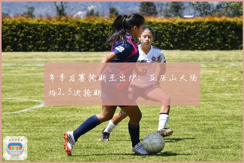 年季后赛抢断王出炉：亚历山大场均2.5次抢断