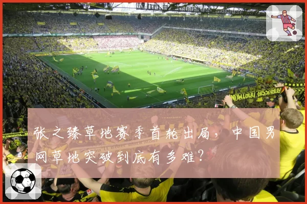 张之臻草地赛季首轮出局，中国男网草地突破到底有多难？